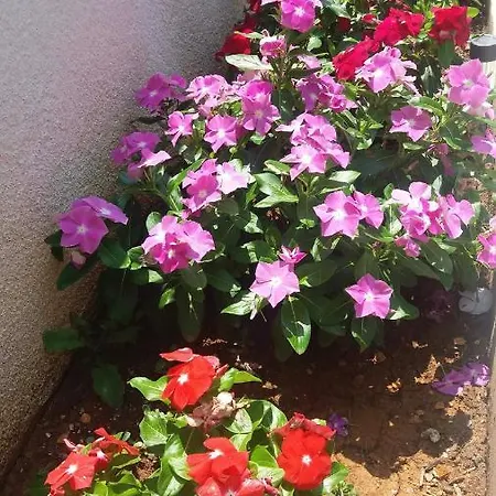 2+1 With Jacuzzi,near Centar Of